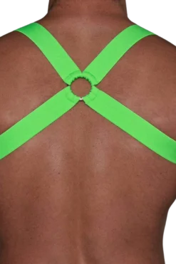 Harness in neongrün