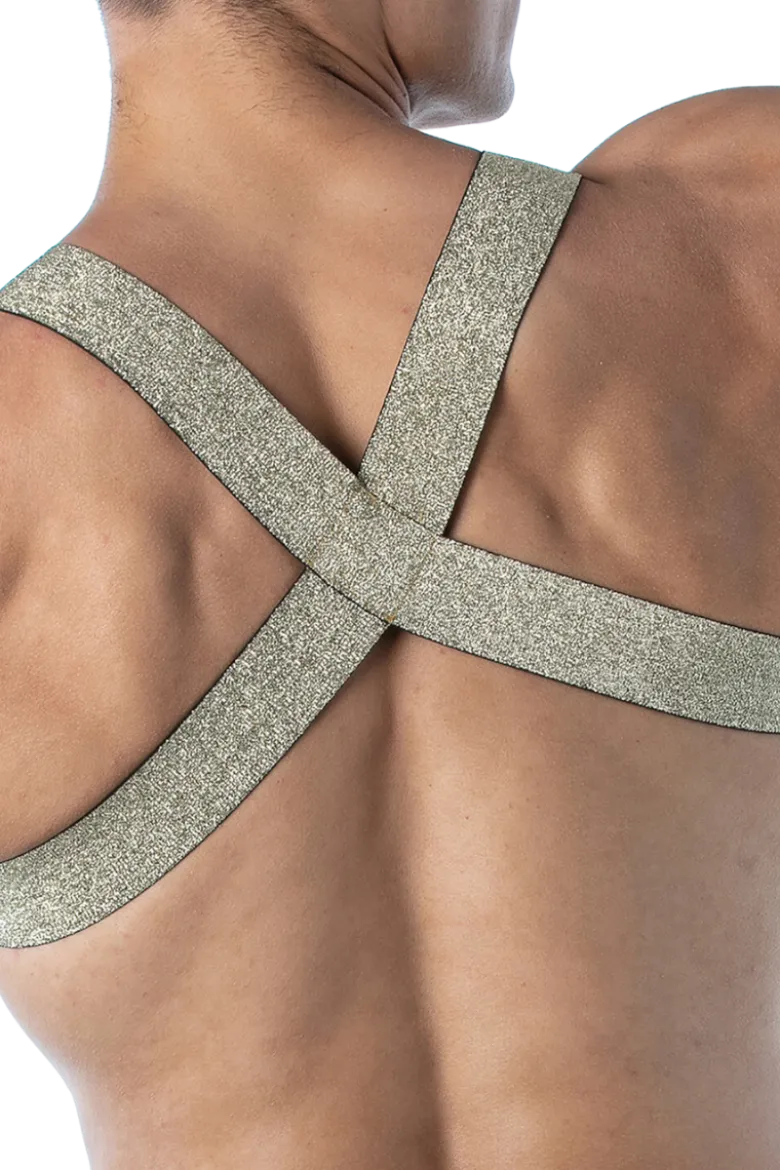 Herren Brust Harness gold