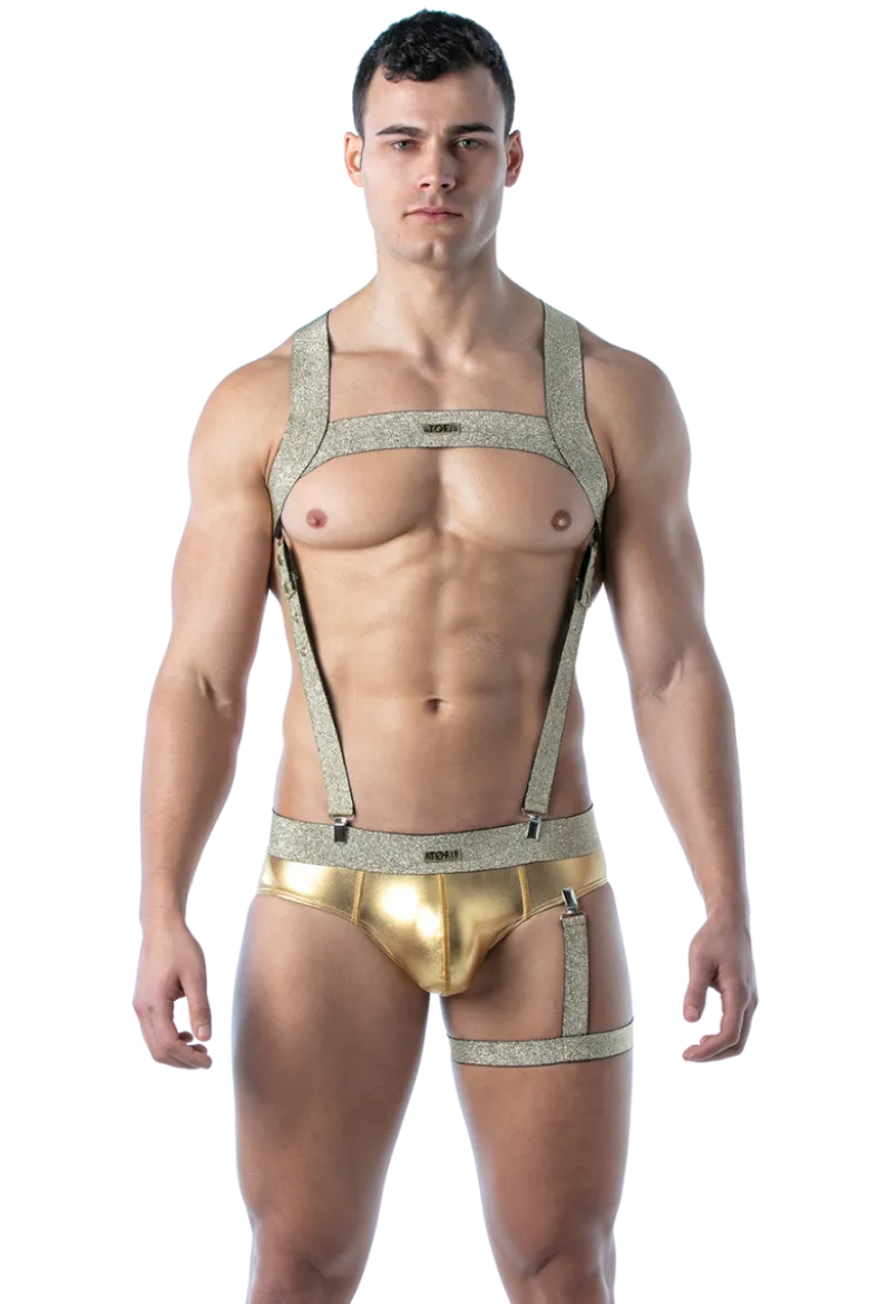 Herren Brust Harness gold
