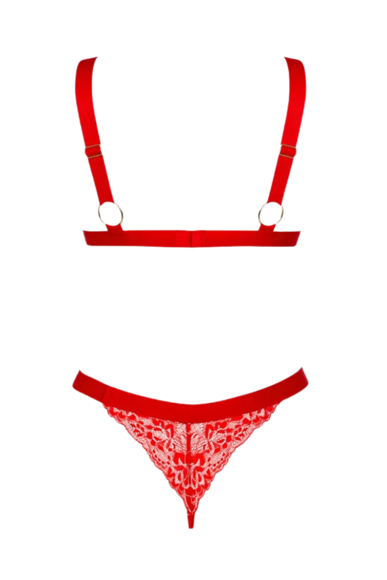 Spitzen-Dessous-Set rot