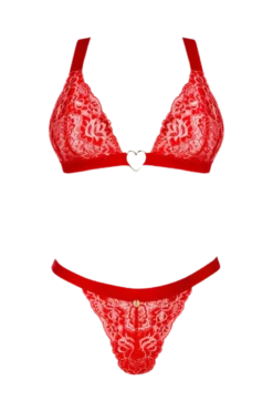 Spitzen-Dessous-Set rot